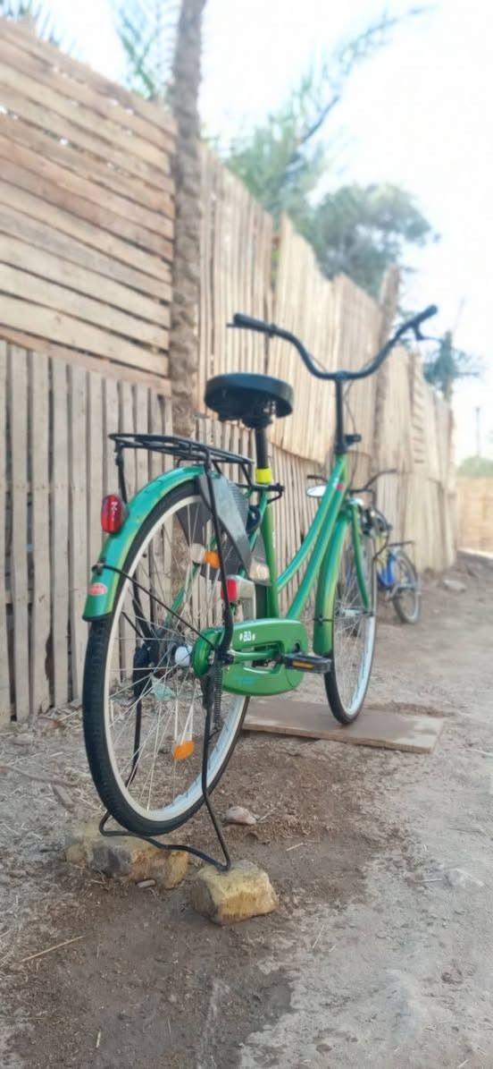 للبيع بايسكلBD سوبر
المـوديل ←2020 🤷‍♂️🔥

غراضة كاملة  مكاني نجف حي لميلاد🙋🏻‍♂️

السـعرررر ←135 وبي مجــــال😍✨.


**إذا كنت صاحب هذا الإعلان وتريد حذفه لأي سبب، رجاءا أرسل رسالة إلى الدعم الفني**