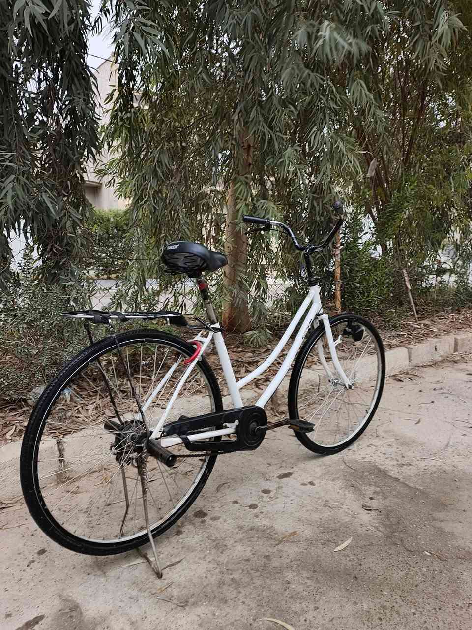 عبد الحليم
2022

ابيض 

نضيف

بريك كدام مابي

طفاريات موجوده

80وبي مجال

***********

ماشراي لا تخابر يرحم والديك
