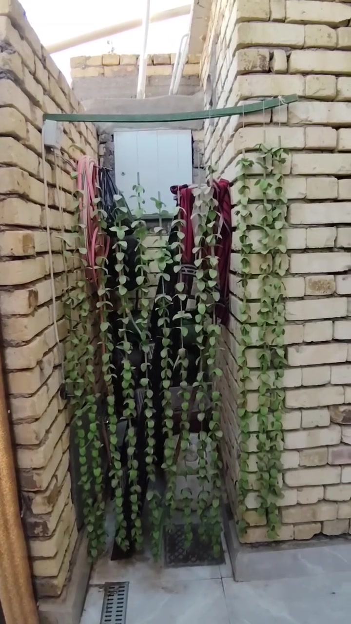 🏡 بيت مرتب للبيع — فرصة مميزة للسكن والاستثمار 🏡

📍 العنوان: خنيطلة — شارع الحمداني 
📐 المساحة: 100 متر +زراعي 
🏠 البيت ركن بموقع مرتب وهادئ
↔️ يبعد 50 متر عن شارع الشط 
🛣️ ويبعد 100 متر عن شارع خنيطلة الطابو

✨ مواصفات البيت: ✔️ بناء حديث سنة 2025
✔️ طابوق درجة أولى+سقف كونكريت 
✔️ غرفة ديوانية مرتبة
✔️ استقبال + كليدور+ وصحيات داخليه وخارجيه 
✔️ قاطع ثاني مرتب بالتقسيم
✔️ تصميم عملي وتشطيب حديث

🔥 موقع ممتاز قريب من الخدمات وحركة الشارع
🔥 مناسب للسكن العائلي والاستثمار

📞 للحجز والاستفسار *********** 
مكتب الضامن للعقار
ذي قار — سوق الشيوخ — خنيطلة شارع الكراج

“إذا تريد بيت مرتب بسعر مناسب وموقع مضمون… هذا خيارك الصح” 🏠✨
