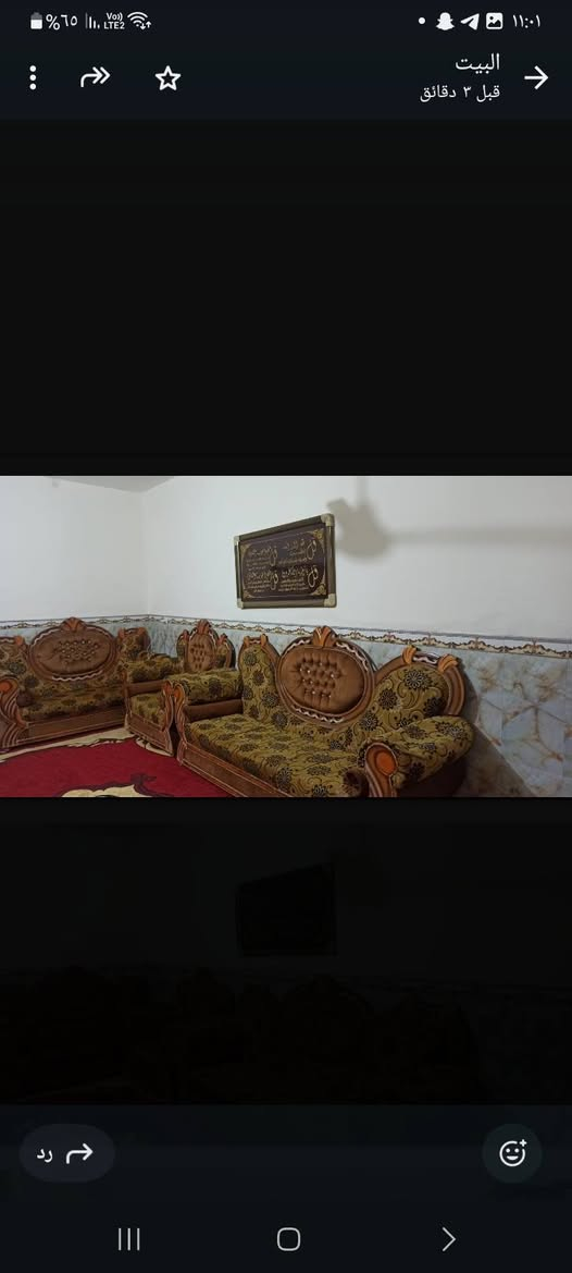 السلام عليكم تخم أبو تاج وتخم كندور للبيع في بابل 
***********
