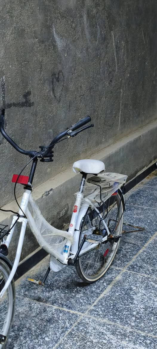 السلام عليكم باسكل للبيع (ويل الوره مبدل يحتاج بس بوليش يجي وياي طوك وبريك كدام بدون جاملغ امامي شركه BD المكان ناصريه محطه القطار السعر مناسب جدا اتصل على الرقم
***********
