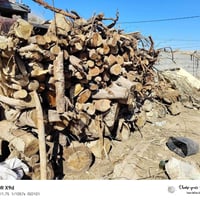 وبركاته يوجد حطب للبيع مقطع كامل  الكميه موظحه بل صور  السعر 185 للاست...