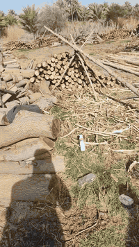 السلام عليكم يوجد قوق ٤ و متر للتواصل *********** بي وتساب
