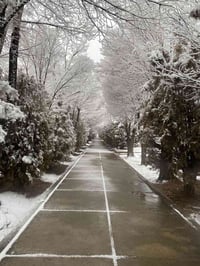 قاطع الدكتور حسين الجريش • ٨٠٠م زراعي • ٣ مشتملات