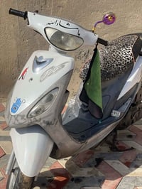 ماكس منغولي • معدل • نضيفه