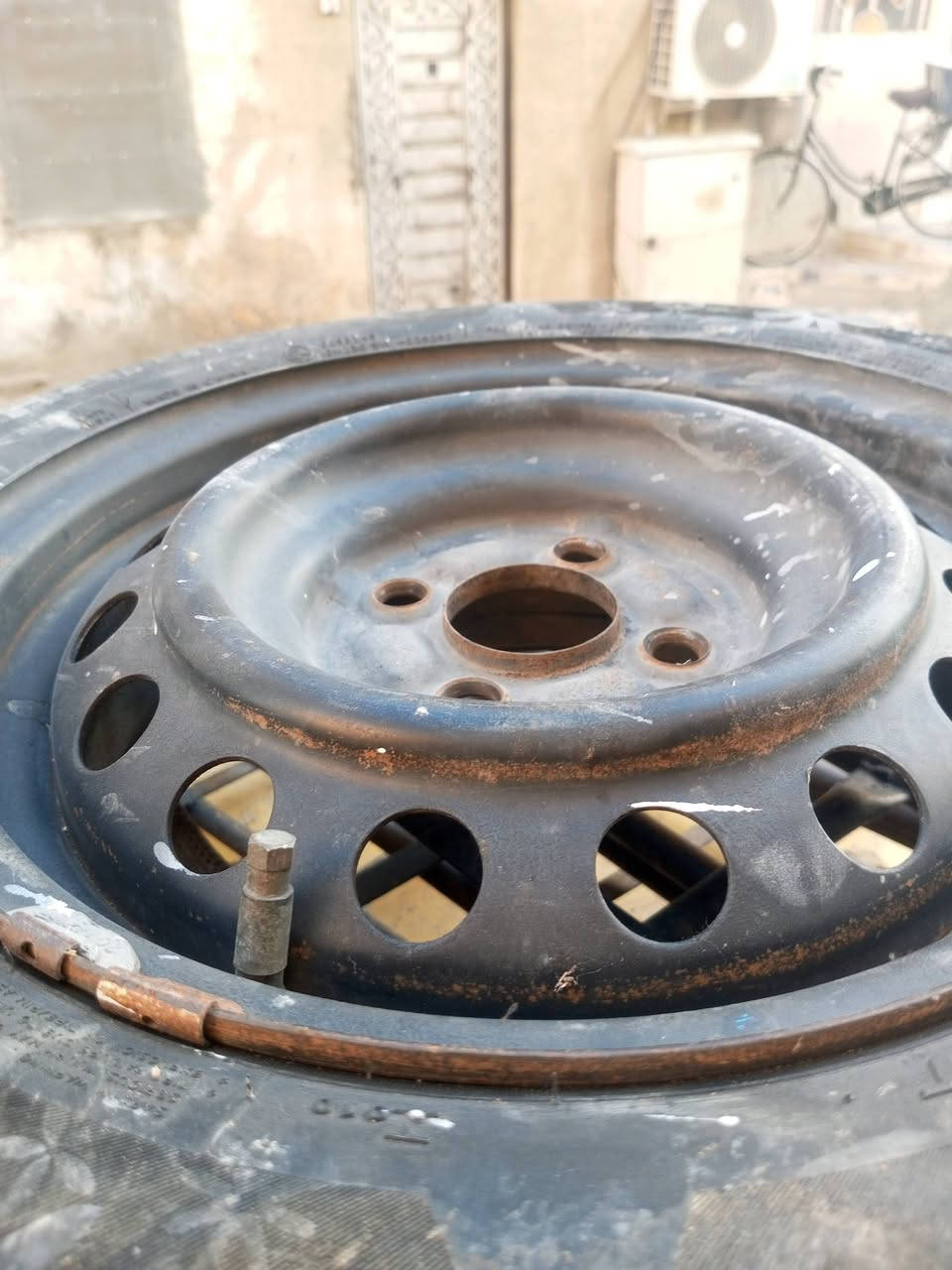 تخم حجم 14 شيري كوين للبيع او مراوس بويل كب مكاني بالاعظمية بالسفينة ***********=***********
