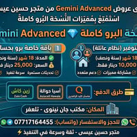 جيميني برو • ١٨ شهر • باقة توفير