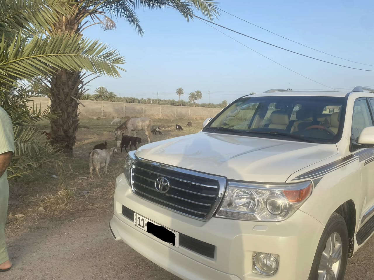 لاندكروزر ابيض صدفي موديل 2012 بريم بغداد جديد باسمي شخصيا ماشية السيارة جوه الميه حقيقي مال جناي استخدام قليل 6 سلند فول مواصفات كشن جلد كهربائي ثلاث مرات للاستفسار الاتصال على الرقم *********** مكاني رمادي
