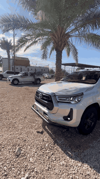 السلام عليكم تيوتا هايلوكس لبيع مكفوله كفاله عامه السياره جديده تخم تاير جديد رقم اربيل المكان الديوانيه الحمزه الشرقي *********** السعر خاص رجاا المو شراي لايتصل
