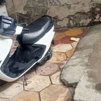 فراشه فحل • ختم واحد • بابل الكفل