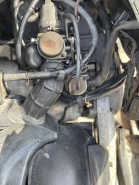 للبيع سكنس فحل كابريتر دراجه رمبه ختم واحد كابريتر بلادي وراق معرض موج...