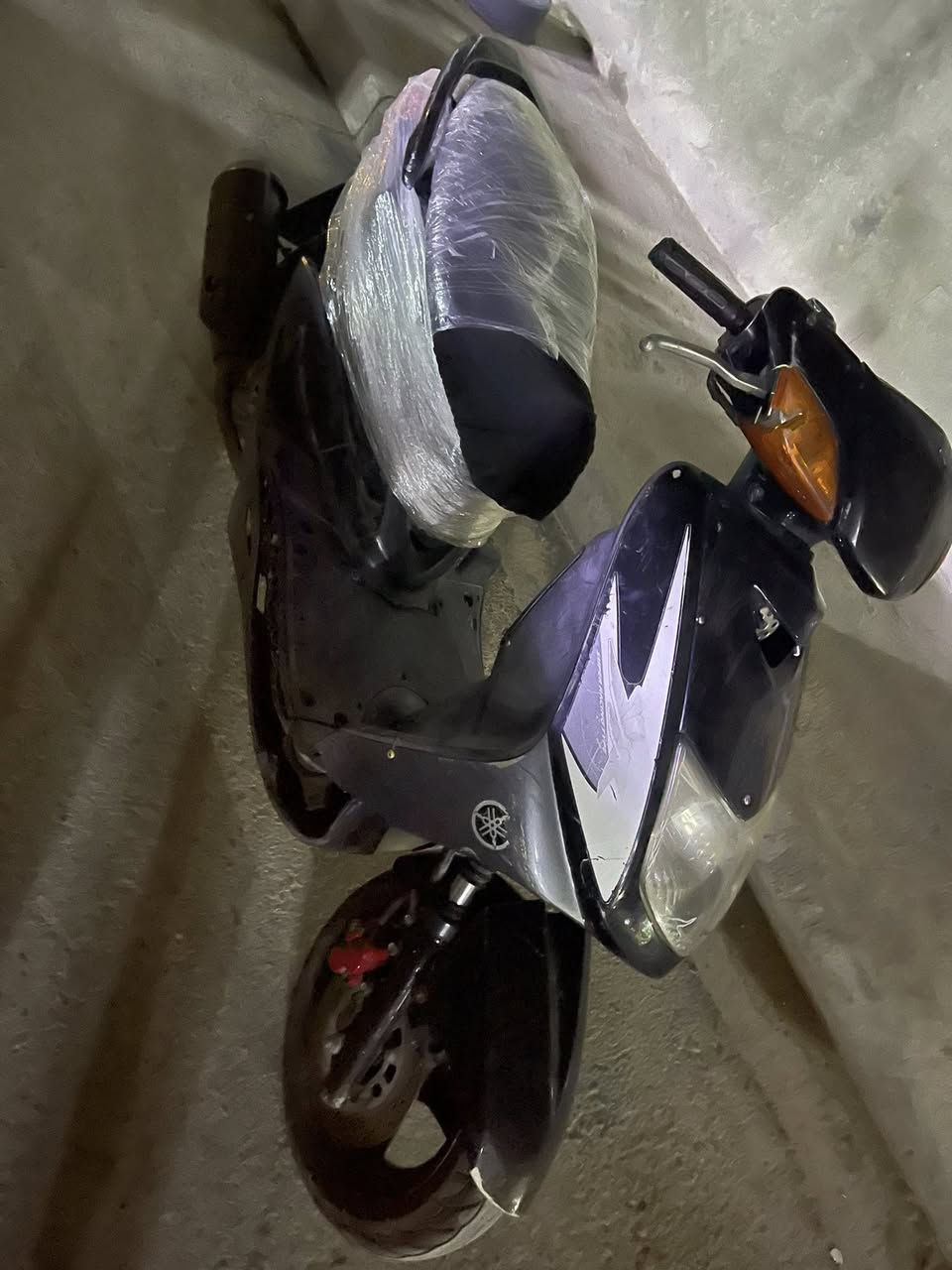 سكنس مكفولة ياباني أم جنكال 350  بغداد مشتل خابر تدلل ***********
