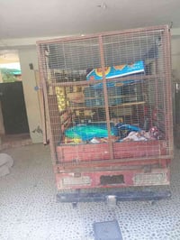 ستوته • ام الطير • مديل ١٨