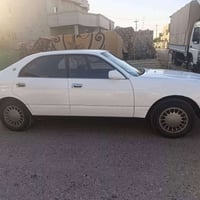 مقصوص • رقم بغداد • ابيض