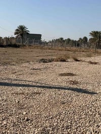 بابل ورديه • طابو زراعي • 240م