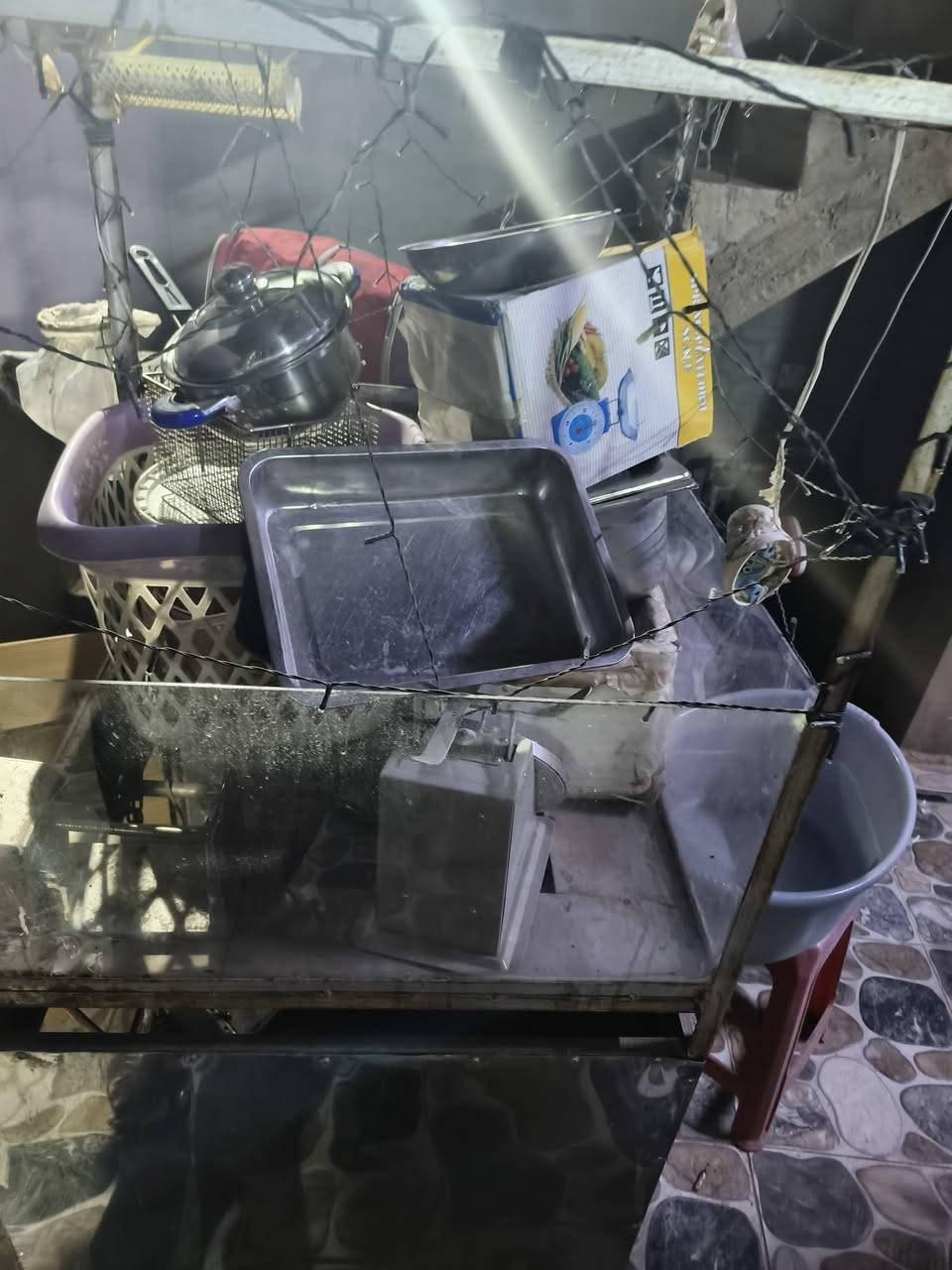 ***********بيع مال حب ٢٠٠ ألف وله مال فنكر ٢٥٠ كامل هو غرضه
