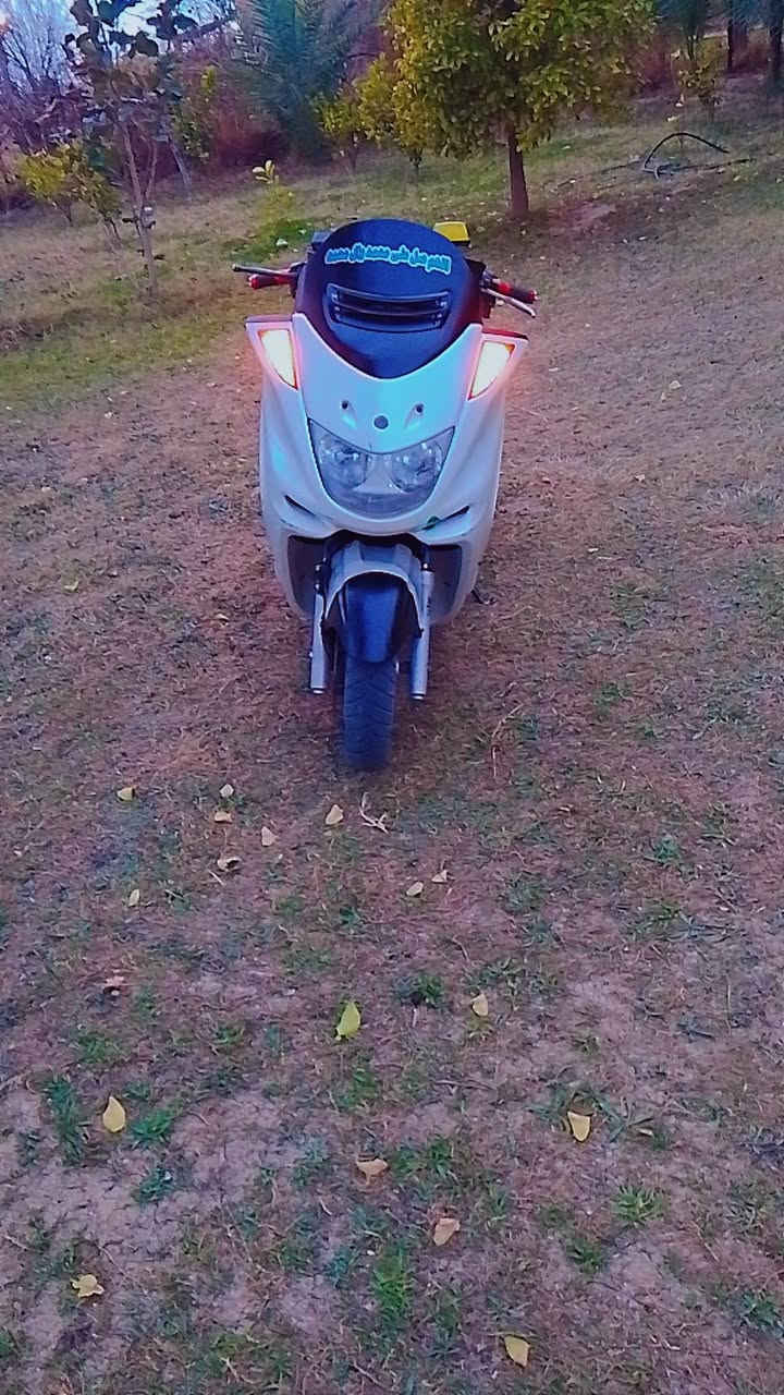 دراجه ماجسته دبل رون للبيع شلعه ومعدل شك لكاع اوراق كامله مكمله  اي نقص مابي  كهربائيّات كامله تفاصيل اكثر خاص او تصل بي واتساب ***********عنوان بغداد محموديه
