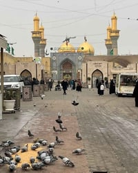 حملة أبو زيد • النجف والكوفة • ٦/٣ ٢:٣٠م