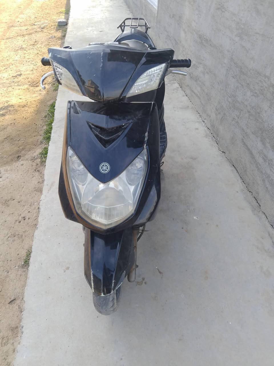 لبيع سكنس فحل ***********
