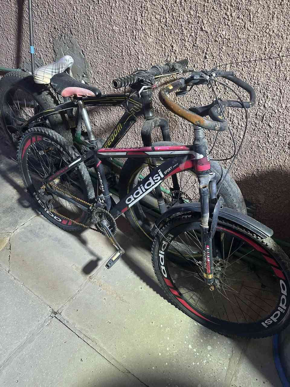 السلام عليكم عندي هذني للبيع  سعرهن 150الف ***********
