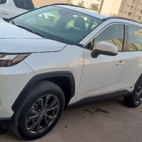 راف فور هايبرد • ٢٠٢٣ • شبه زيرو