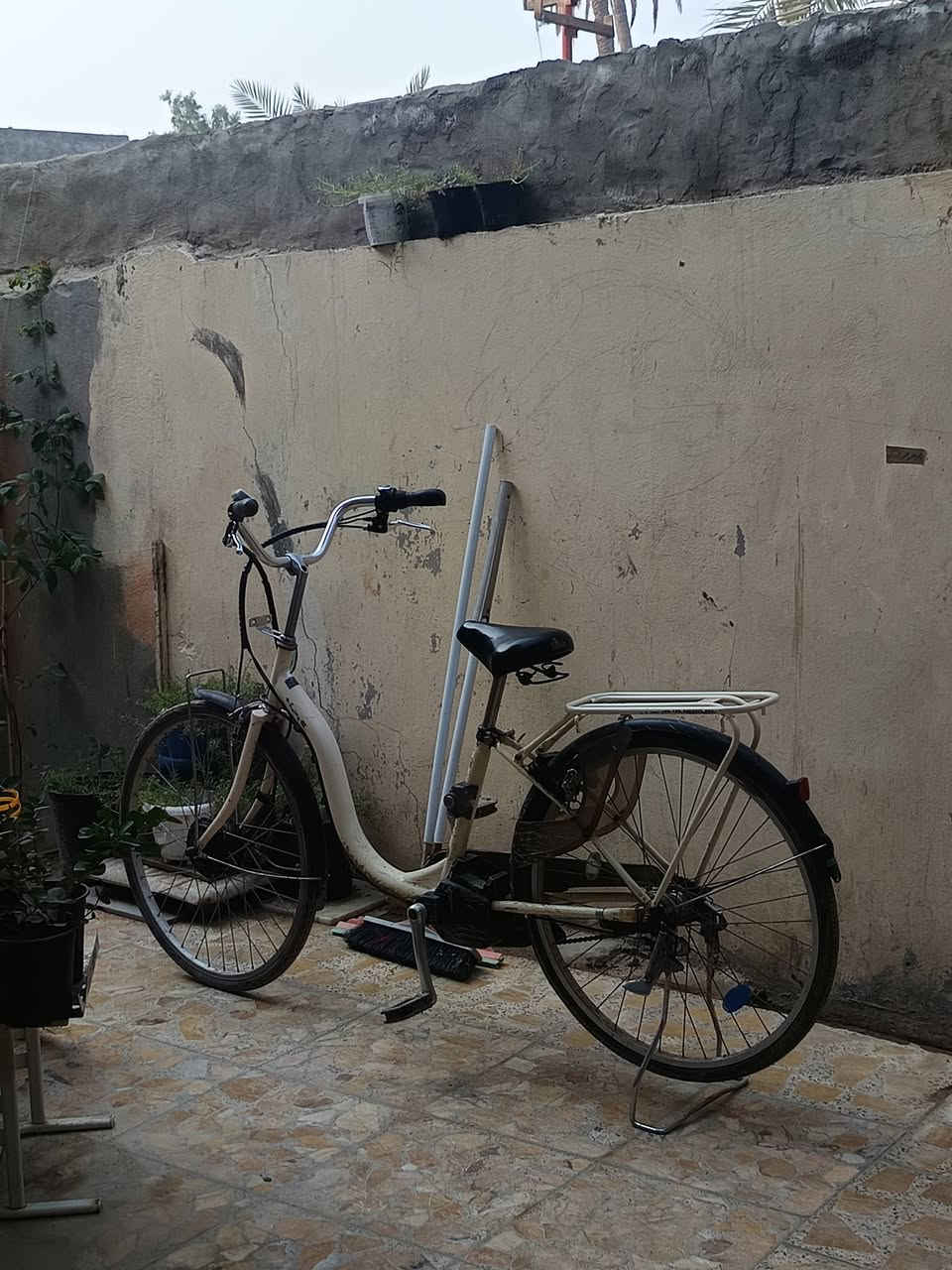 سلام عليكم
باسكل😮لببيع🦅
موديل2020✈️
سعر 
💥110💥

⚜️مكان طويريج⚜️


**إذا كنت صاحب هذا الإعلان وتريد حذفه لأي سبب، رجاءا أرسل رسالة إلى الدعم الفني**