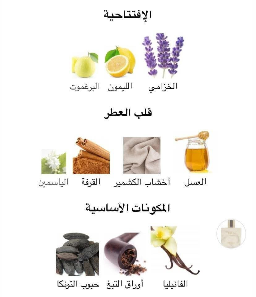 احدث اصدارات ريحانه
العطر المنتظر /Italia Rayhaan

عطر ايطاليا من ريحانه 

تقيم العطر 4.88 من 5 مع 43 صوت

عطر شرقي - خشبي للرجال . هذا عطر جديد Italiaصدر عام 2025

مستوحى من Naxos Xerjoff

المكونات 

إفتتاحية العطر الخزامي, الليمون و البرغموت

قلب العطر العسل, أخشاب الكشمير, القرفة و الياسمين

قاعدة العطر تتكون من الفانيليا, أوراق التبغ و حبوب التونكا.

علق بتم لتصلك كافة التفاصيل على الخاص 📥
يمنع استخدام صورنا 🚫
تابعو الستوري بي عروض حلوه 😌
تتوفر خصومات للعرائس 👰
أبهج جميع حواسك بأرقى مكونات العطور، نوفرها لكم بأفضل الأسعار والجودات.... رحلة تسوق ممتعة نتمناها لكم♥️
اطلب اون لاين من خلال مراسلتنا على الخاص او مراسلتنا عن طريق واتس اب *********** 
خدمة التوصيل متوفرة لجميع المحافظات. 

 #محرم #النجف #كربلاء #عيدالحب #مرغوب #تخفيضات #روسری #رومانسيه #اصلي #تخفيض #عروض #حب #عرض #زواج #غرام #يحبك #تصوير #زوجي #حبيبي #مضمون #مغري #خصم #اغراء #مثير #عطور #جنسيه_نسائيه #نسائيه #جذابه #نسائي #اثاره
