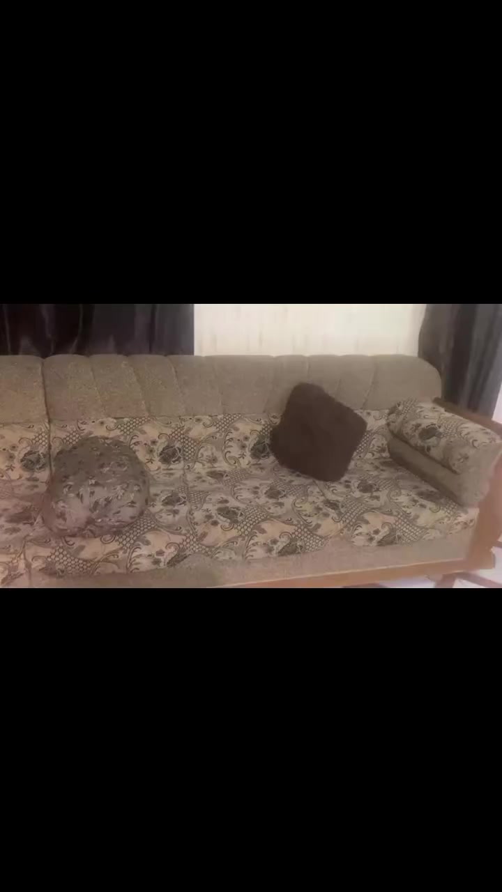 سلام عليكم ...ديوان حطاطه سعره ٣٠٠ وبي مجال


**إذا كنت صاحب هذا الإعلان وتريد حذفه لأي سبب، رجاءا أرسل رسالة إلى الدعم الفني**