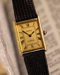 كارتيه تانك • مينا شمباني • ١٧ جوهره