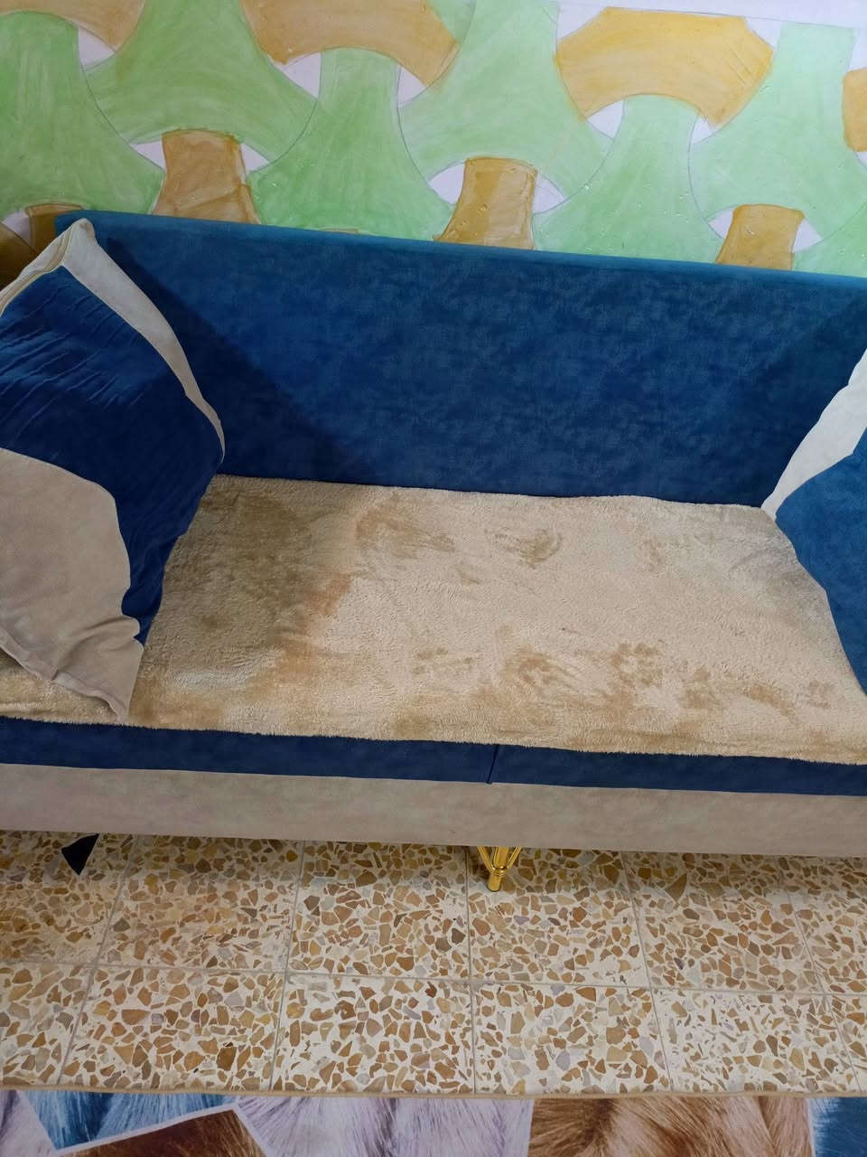 قنفات تخم اخو الجديد مشتريهن 850رايدهن 500


**إذا كنت صاحب هذا الإعلان وتريد حذفه لأي سبب، رجاءا أرسل رسالة إلى الدعم الفني**