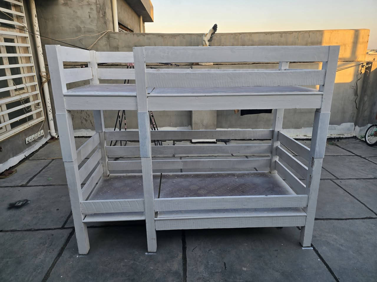 للبيع 💥 شهربان حي المعلمين


**إذا كنت صاحب هذا الإعلان وتريد حذفه لأي سبب، رجاءا أرسل رسالة إلى الدعم الفني**