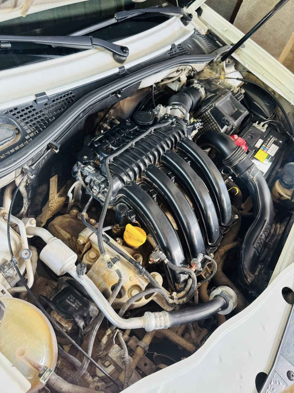 للبيع رينو داستر موديل2018رقم كربلاء حره مكفوله كفاله عامه 
تواصل ***********
