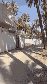 ،هيكل للبيع العنوان: نهاية شارع الطي قبل سيطرة الزنجيل في الفرع المقاب...