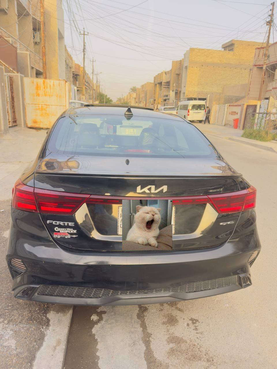 السلام عليكم
فورتي جيتي لاين فول مواصفات 
مديل 2023
حادثها جاملغ أمامي وبابين مبدلات اصليات فقط الجاملغ تجاري 
فتحت سقف
تشغيل عن بعد 
كشنات جلد مختم جيتي لاين تدفئة وتبريد 
ماشية ٣٩ الف 
3 انضمة قيادة
شحن لاسلكي 
دركة جيتي لاين D
سستم صوت شركة هارلم بلادي 
تبريد قطعتين مناخ منفصل
مكينة 2000دوش المرغوب  
اوتو هولد 
هند بربك بصمة
رادار امامي خلفي 
رادار جانبي 
توقف ذاتي 
السعر 165 وبيها مجال  
تفاصيل اكثر اتصل رقم الهاتف
‏ ***********
