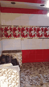 بيت للبيع الطارميه  شارع سكلات قرب جامع حسنين مساحه البيت 200 متر ***********
