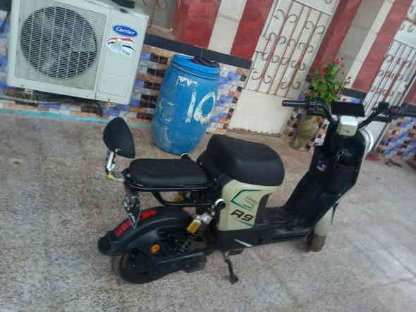 سلام عليكم دراجه شحن r9للبيع
دراجه نضيف 

كلها بلدي.

بطاريات 32 توه مبدلهن 

دراجه ما تصرف شحن 

سرعه 99 اسرع من 109 

دراجه نهضه صرعة قويه 

سعر 475 وبيها مجال قليل وانا خادم 

رقم الهاتف واتساب رصيد موجود  مكان البصره كرمت علي 

***********
