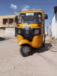 موديل 2019 • كفالة • شعب