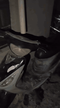 شلونكم اخوان هاي الدراجات عندنا للبيع نظيفات بس مهمولات شغالات الدراجا...