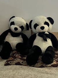 باندا • ٢ قطع • كبار