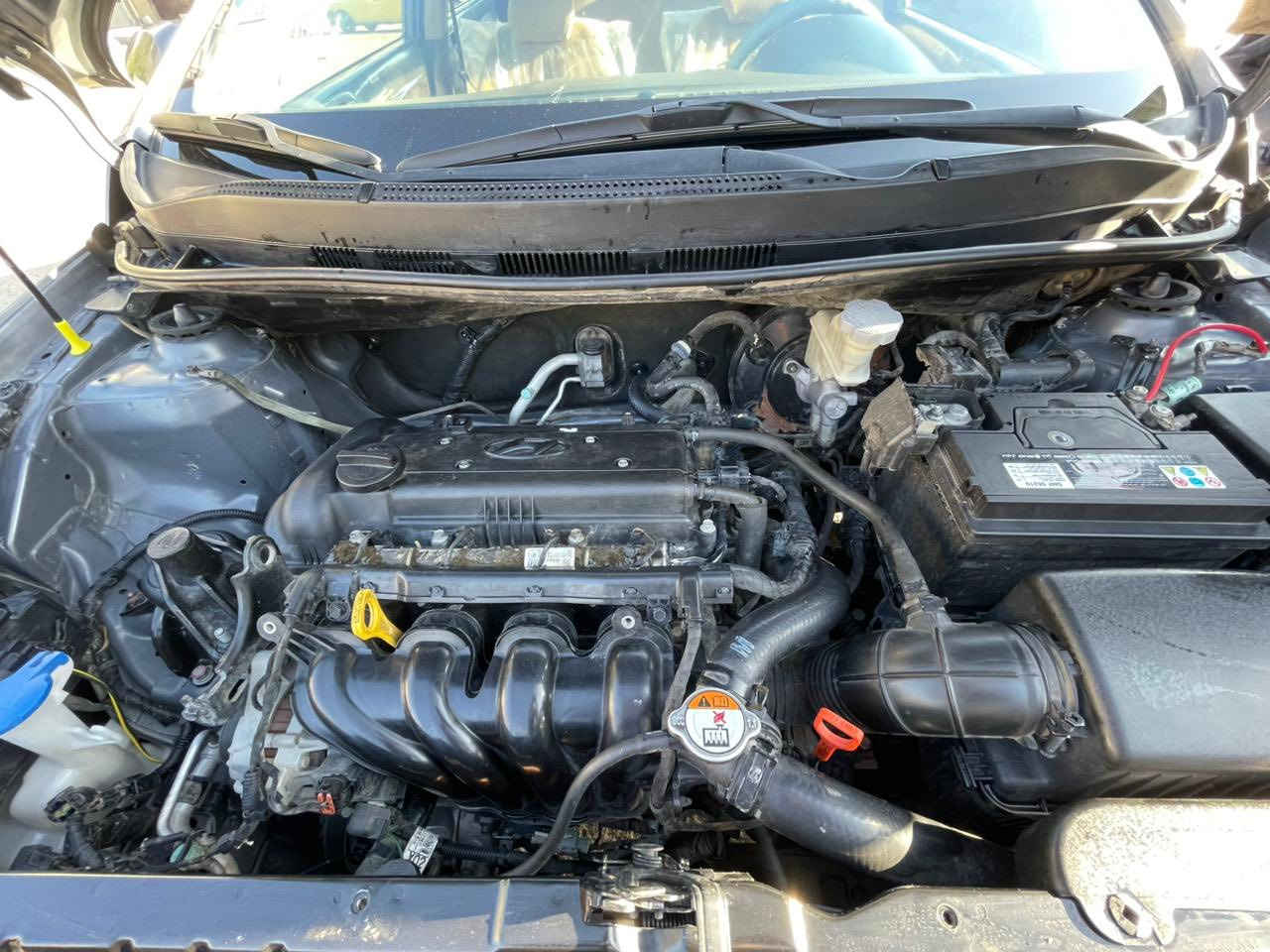 سلام عليكم … اكسنت 2015 خليجي اشاير بل مري ، تحكمات ستيرن ، شاشه ، كامره دواره . السياره كامله من كلشي وعلى ايدي والسياره تبريدها ثلج والتدفئه شغاله وكهربائيات كامله وعليها دوشمه عامه كشنات وسفاري ، مكينه وكير مكفولات من كلشي )(مكاني بغداد العطيفيه )
استفسار ( *********** ) الشراي يتصل .
