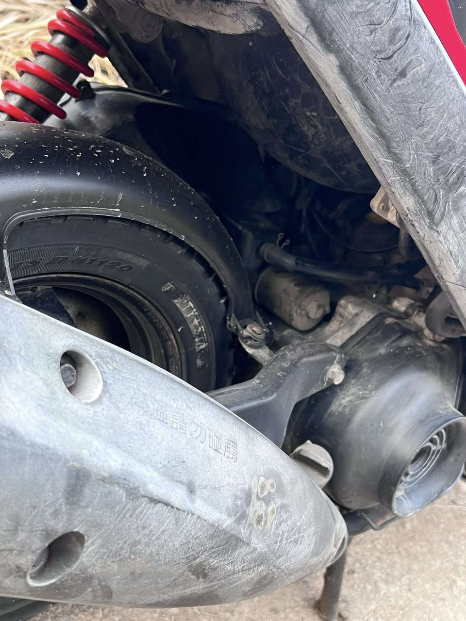 عدله بلاد ماكو كل نقص
مكان البياع 
سعرها ٧٢٥ وبيها مجال 
***********
