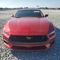 مزاد ٣٠-١٢-٢٠٢٥ • موستانغ ٢٠٢٤ • متضررة