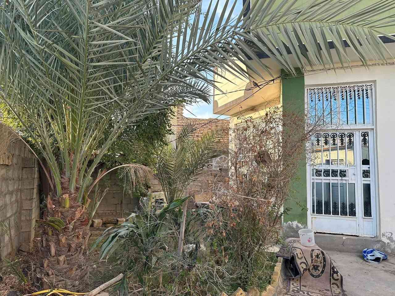 دار للبيع زراعي سند ٢٥ مساحته ٤٠٠ بناء مسلح حي الغدير مقابل الخمسه دونم ..مباشرا على التبليط .طابق واحد ..السعر ٨٩ للاستفسار ‭٠٧٨٢ ١٦١ ٨٦١٥‬
