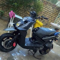سكنس جبلي • كاملة • معدل