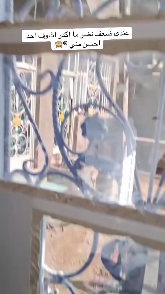 ***********يا الله اللهم صل على محمد وال محمد
محل زجاجات لبيع وتركيب كافه انواع الزجاج والمرايا 
زجاج 4 ملم  6 ملم  بأسعار مناسبه
عمل زجاج الواجهات والمحلات والمنازل
الاستفسار وتساب *********** العنوان بغداد المعامل العماري مقابل معمل التمر
