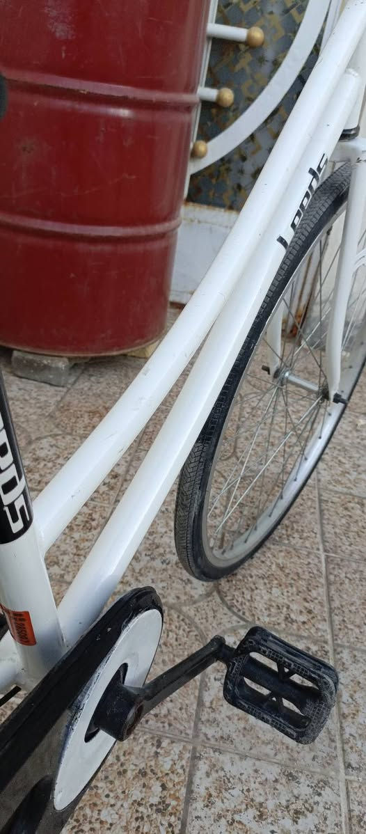 سلام عليكم بسكل البيع ومروس مديل، 16نضيف غرضه كامله مكان نجف حي ميسان


**إذا كنت صاحب هذا الإعلان وتريد حذفه لأي سبب، رجاءا أرسل رسالة إلى الدعم الفني**