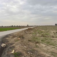 دونم عقد117 في  قرب سعر دونم 40 عنوان سلاميات طريق ابراهيم ابن علي قبل...