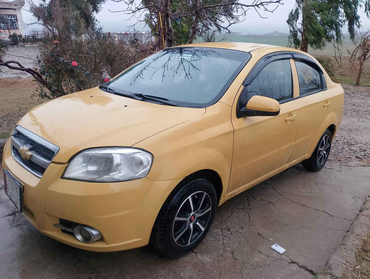 السعر 53 وبيها مجال
