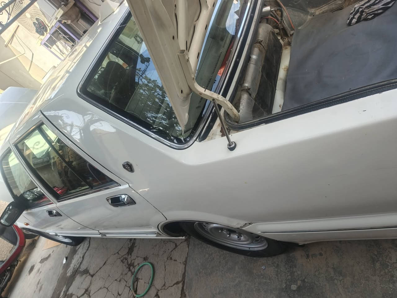 سلام وعليكم نيسان سدرك للبيع رقم بغداد بسمي جديد مديل ٢٠٠٢ سياره بلاديه مكينه وكير عادي ٦ سلندر كهرباء شقاله تخم تاير تبريد ثلج تدفئة بديها مكفول سياره علا بلاد البصرة زبير إلي يشتري يفضل خاص وأنه بل خدمه سياره مال بيت مراوس بسكانيه قلاب سكس اسكانيه ونطي فرق


**إذا كنت صاحب هذا الإعلان وتريد حذفه لأي سبب، رجاءا أرسل رسالة إلى الدعم الفني**