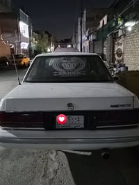 للبيع مواليد 2004 07882911865